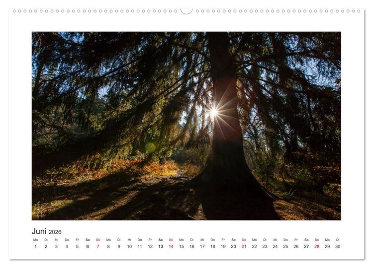 Produktbild: Kasseler Landschaften (Wandkalender 2026 DIN A2 quer), CALVENDO Monatskalender