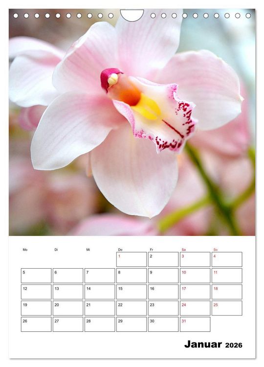 Produktbild: Orchideen - Tropische Sch&ouml;nheiten (Wandkalender 2026 DIN A4 hoch), CALVENDO Monatskalender