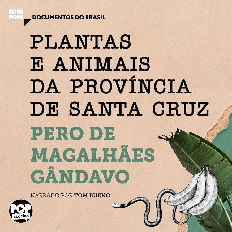 Produktbild: Plantas e animais da prov&iacute;ncia de Santa Cruz: Trechos selecionados de "Hist&oacute;ria da prov&iacute;ncia de Santa Cruz"