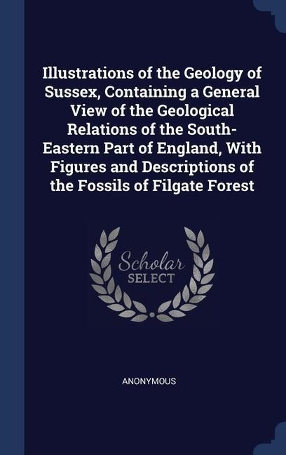 Produktbild: Illustrations of the Geology of Sussex, Containing a General View of the Geological Relations of the South-Eastern Part of England, With Figures and D