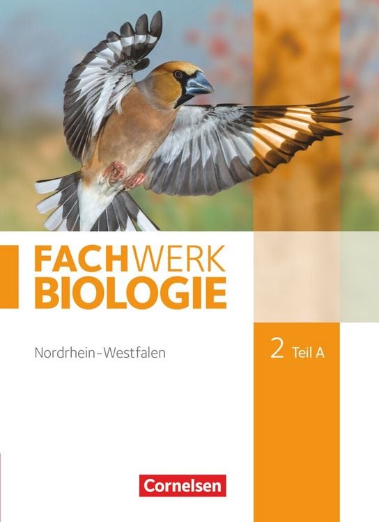 Produktbild: Fachwerk Biologie 02. Teil A Schülerbuch. Nordrhein-Westfalen