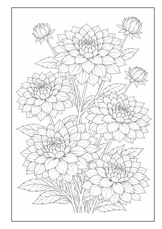 Produktbild: Blumen Malbuch f&uuml;r Erwachsene mit 50 sch&ouml;nen Ausmalmotiven