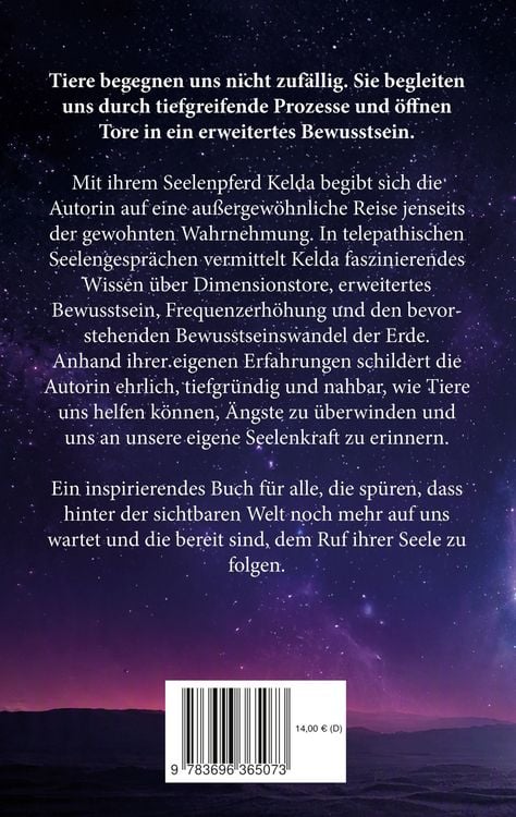 Produktbild: Dimensionstore