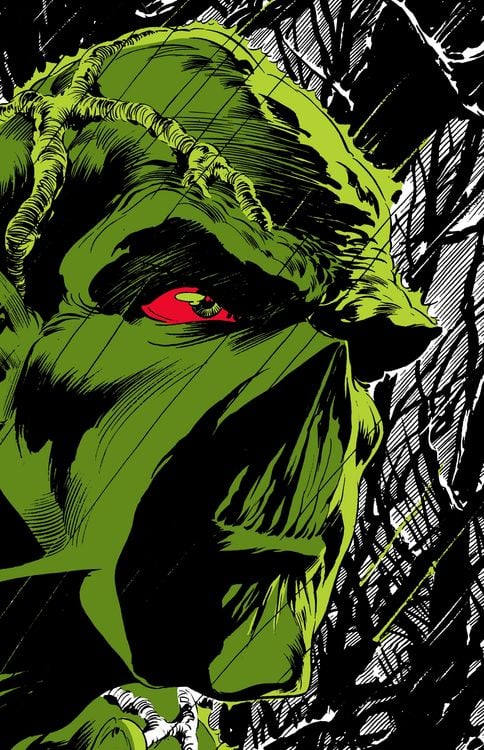 Produktbild: Absolute Swamp Thing by Len Wein and Bernie Wrightson