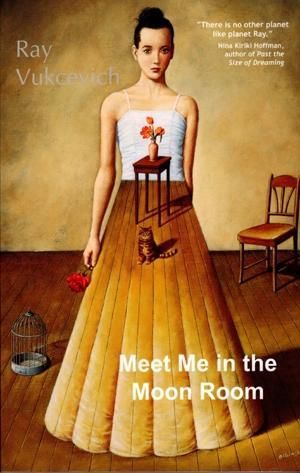 Produktbild: Meet Me in the Moon Room