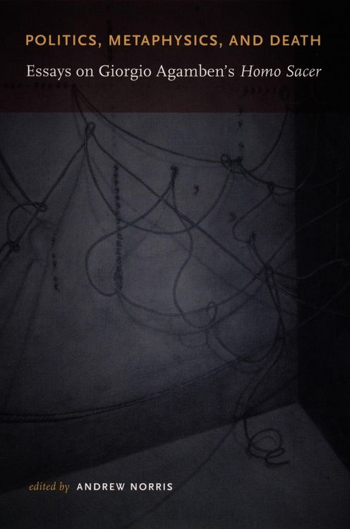 Produktbild: Politics, Metaphysics, and Death