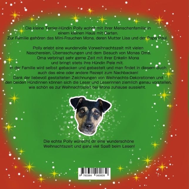 Produktbild: Polly und die Weihnachtszeit