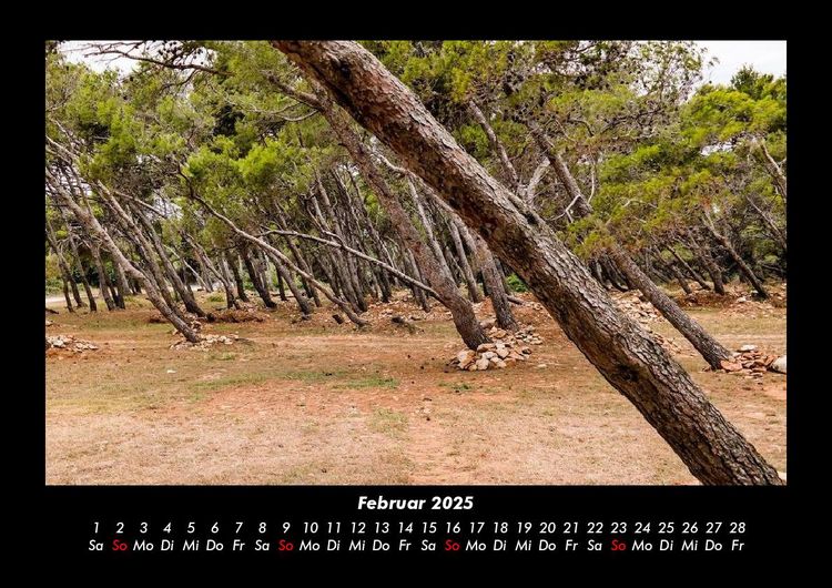 Produktbild: Waldzauber 2025 Fotokalender DIN A3