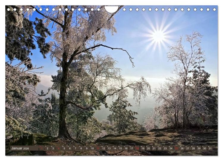 Produktbild: Die Sch&ouml;nheit der S&auml;chsischen Schweiz (Wandkalender 2026 DIN A4 quer), CALVENDO Monatskalender