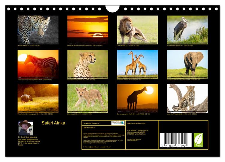 Produktbild: Safari Afrika (Wandkalender 2026 DIN A4 quer), CALVENDO Monatskalender