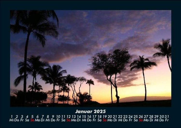 Produktbild: Palmentraum 2025 Fotokalender DIN A5