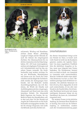 Produktbild: Berner Sennenhund