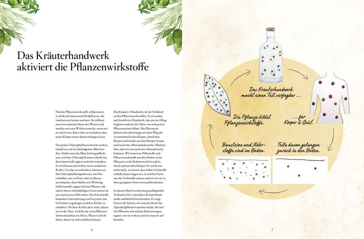 Produktbild: Das Kr&auml;uterhandwerk