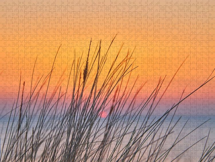 Produktbild: CALVENDO Puzzle D&uuml;nengras im Sonnenuntergang | 1000 Teile Lege-Gr&ouml;&szlig;e 64x48cm Foto-Puzzle f&uuml;r gl&uuml;ckliche Stunden