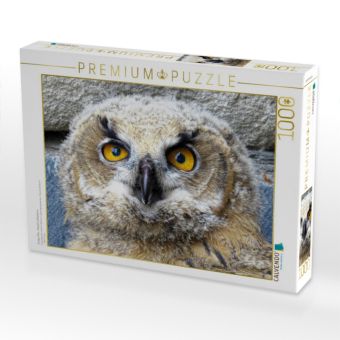 Produktbild: CALVENDO Puzzle Junger Uhu - Kassel-Lutherturm | 1000 Teile Lege-Gr&ouml;&szlig;e 64x48cm Foto-Puzzle f&uuml;r gl&uuml;ckliche Stunden