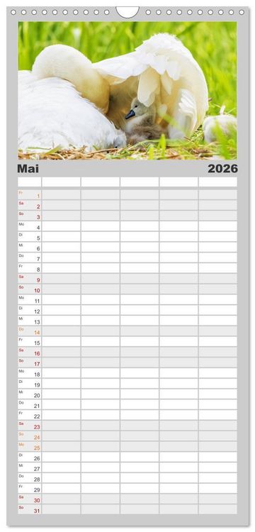 Produktbild: Familienplaner 2026 - Der H&ouml;ckerschwan elegant und stolz mit 5 Spalten (Wandkalender, 21 x 45 cm) CALVENDO