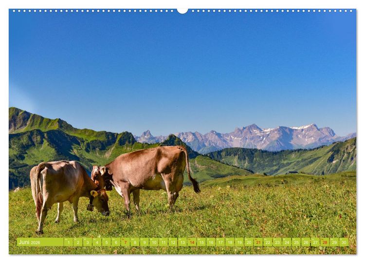 Produktbild: Ein Sommertag in Dam&uuml;ls (hochwertiger Premium Wandkalender 2026 DIN A2 quer), Kunstdruck in Hochglanz