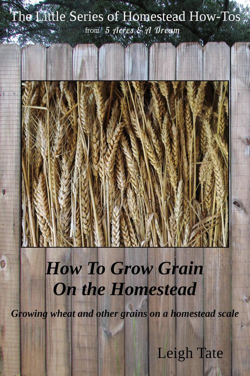 Produktbild: How To Grow Grain On the Homestead: Growing wheat and other grains on a homestead scale (The Little Series of Homestead How-Tos from 5 Acres & A Dream