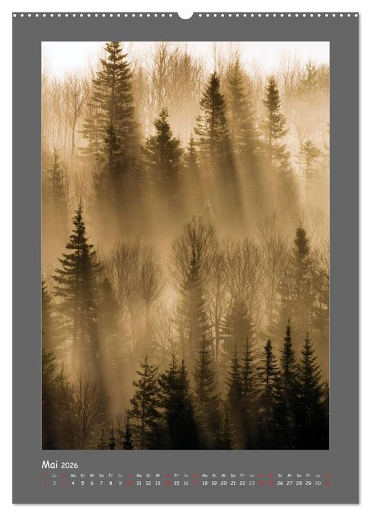 Produktbild: B&Auml;UME (hochwertiger Premium Wandkalender 2026 DIN A2 hoch), Kunstdruck in Hochglanz