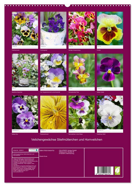 Produktbild: Veilchengew&auml;chse Stiefm&uuml;tterchen und Hornveilchen (hochwertiger Premium Wandkalender 2026 DIN A2 hoch), Kunstdruck in Hochglanz