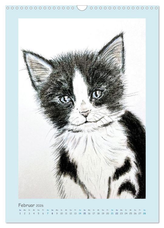 Produktbild: PortraiTierART Samtpf&ouml;tchen (Wandkalender 2026 DIN A3 hoch), CALVENDO Monatskalender