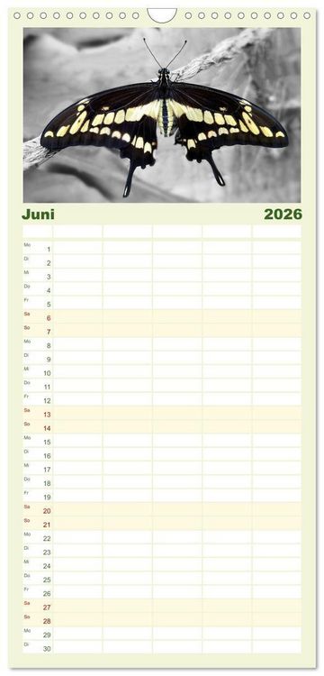 Produktbild: Familienplaner 2026 - Gefl&uuml;gelte Sch&ouml;nheiten der Tropen mit 5 Spalten (Wandkalender, 21 x 45 cm) CALVENDO