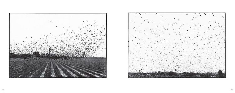 Produktbild: Zoe Leonard