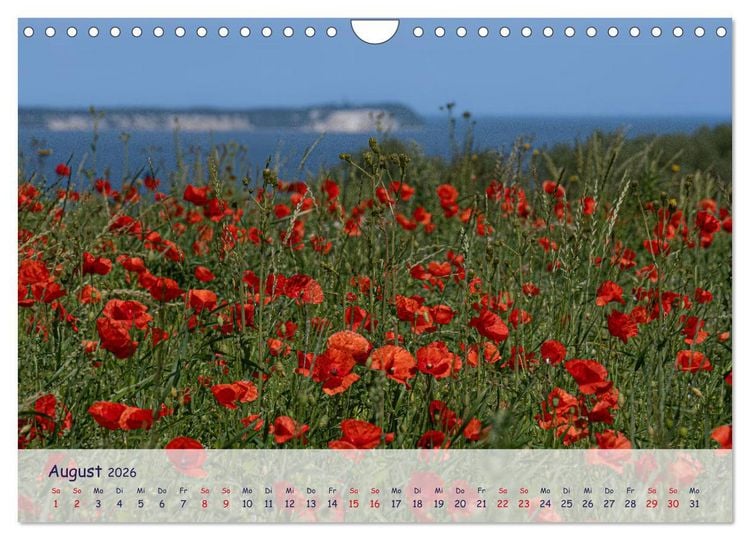 Produktbild: R&uuml;genliebe (Wandkalender 2026 DIN A4 quer), CALVENDO Monatskalender