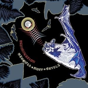 Produktbild: Echolocation (LP)