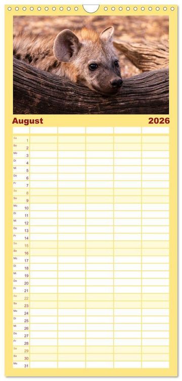 Produktbild: Familienplaner 2026 - Komm mit auf Safari! Botswana und S&uuml;dafrika mit 5 Spalten (Wandkalender, 21 x 45 cm) CALVENDO