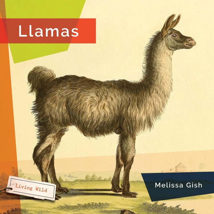 Produktbild: Llamas