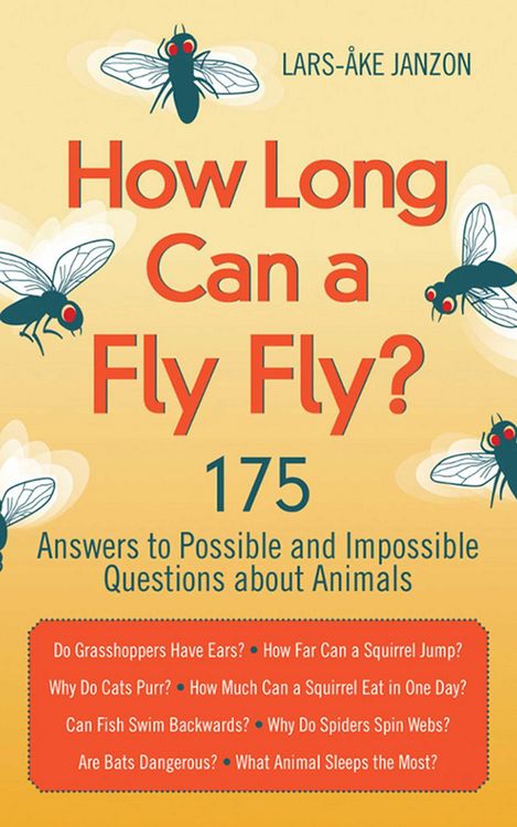 Produktbild: How Long Can a Fly Fly?