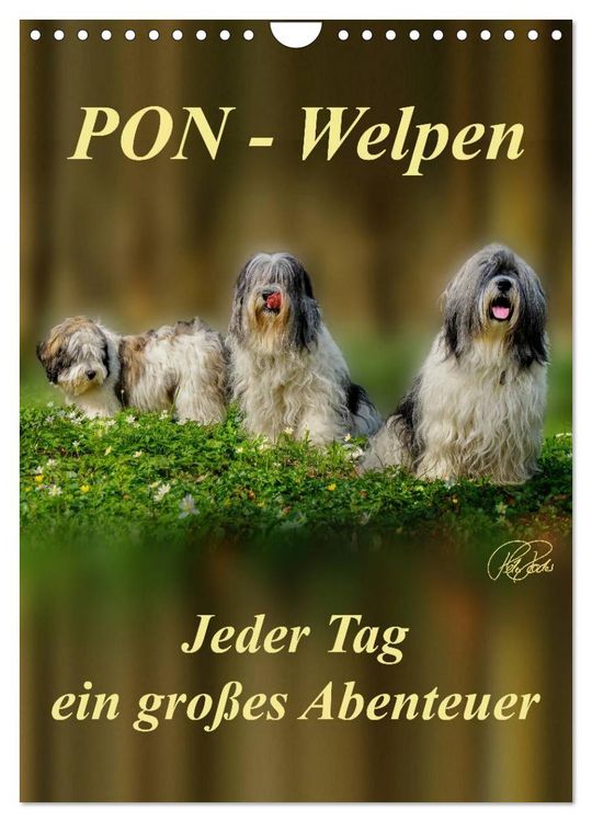 Produktbild: PON-Welpen - jeder Tag ein gro&szlig;es Abenteuer / Planer (Wandkalender 2026 DIN A4 hoch), CALVENDO Monatskalender