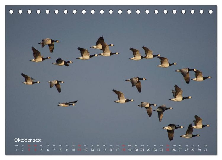 Produktbild: Anblicke und Ausblicke auf Fischland Dar&szlig; (Tischkalender 2026 DIN A5 quer), CALVENDO Monatskalender