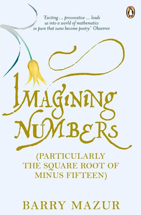 Produktbild: Imagining Numbers
