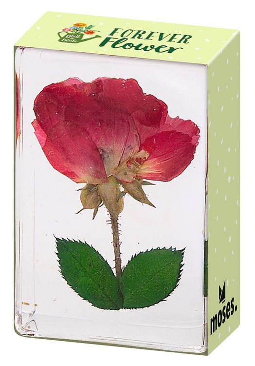 Produktbild: Blatt & Bl&uuml;te Forever Flowers