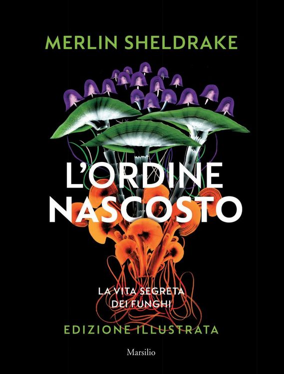 Produktbild: L' ordine nascosto