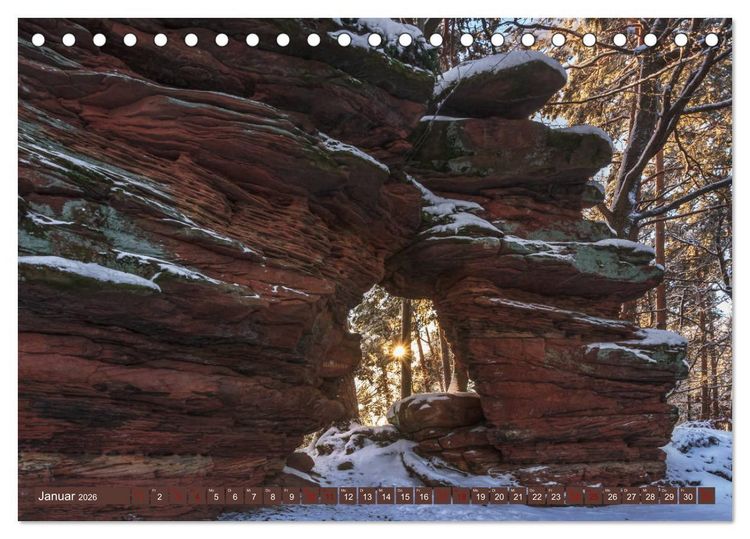 Produktbild: Augenschmaus Pf&auml;lzer Wald (Tischkalender 2026 DIN A5 quer), CALVENDO Monatskalender
