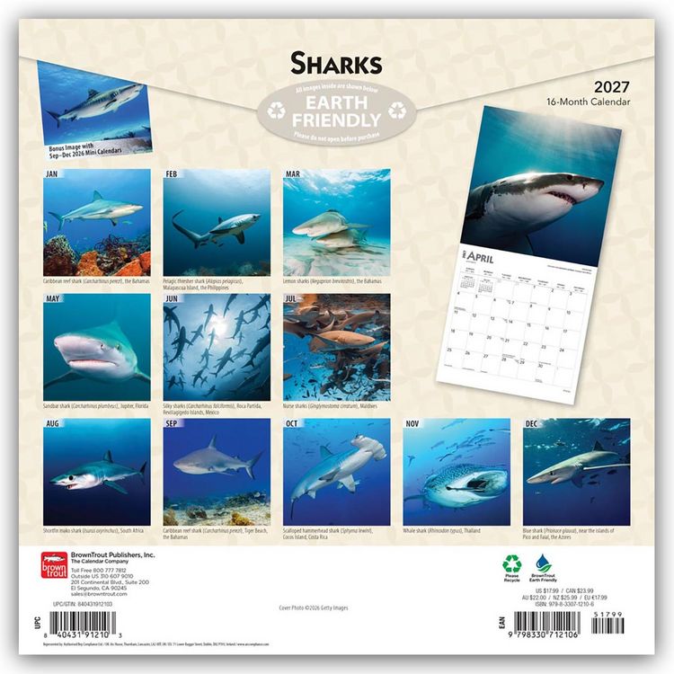 Produktbild: Sharks &ndash; Haie 2027 &ndash; 16-Monatskalender