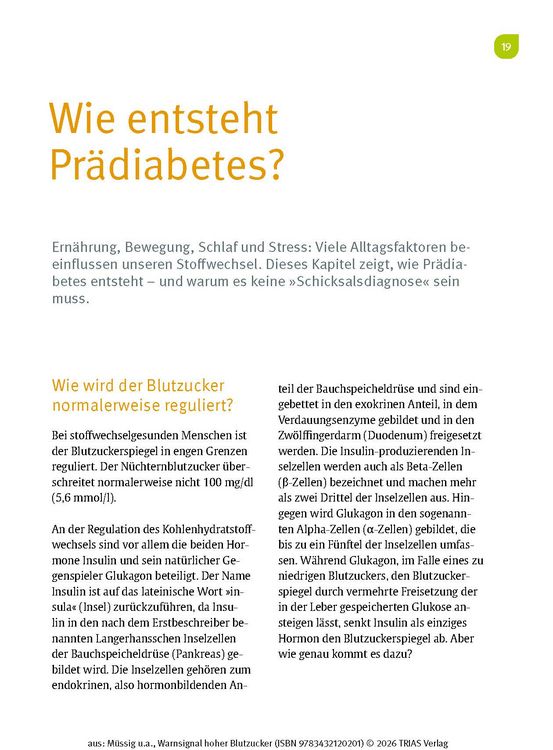 Produktbild: Warnsignal hoher Blutzucker