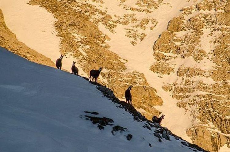 Produktbild: Karwendel
