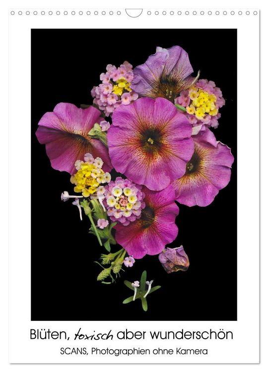 Produktbild: Bl&uuml;ten, toxisch aber wundersch&ouml;n (Wandkalender 2026 DIN A3 hoch), CALVENDO Monatskalender