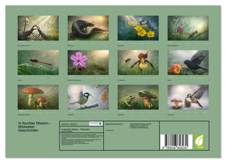 Produktbild: In feuchter Mission - Mistwetter Geschichten (Wandkalender 2026 DIN A4 quer), CALVENDO Monatskalender