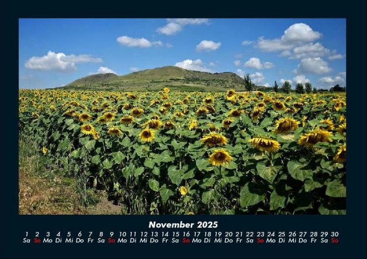 Produktbild: Blumentr&auml;ume 2025 Fotokalender DIN A4
