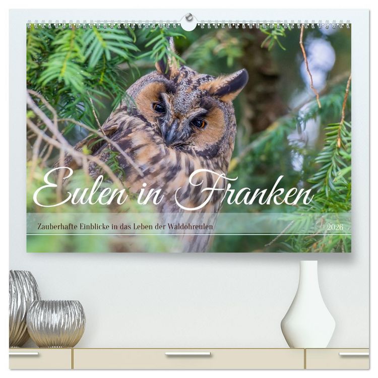 Produktbild: Eulen in Franken (hochwertiger Premium Wandkalender 2026 DIN A2 quer), Kunstdruck in Hochglanz