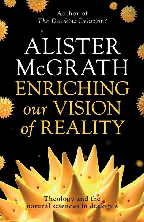 Produktbild: Enriching our Vision of Reality