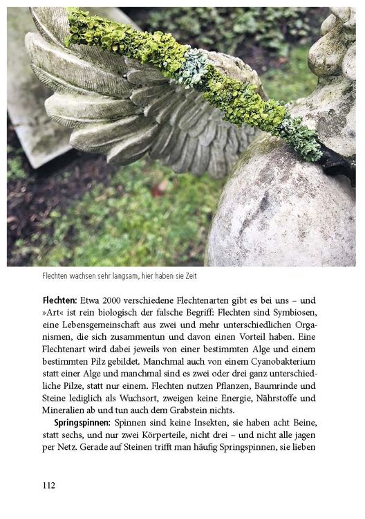 Produktbild: Der Friedhof lebt!
