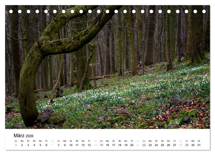 Produktbild: Naturerlebnis im Biosph&auml;renreservat Rh&ouml;n (Tischkalender 2026 DIN A5 quer), CALVENDO Monatskalender