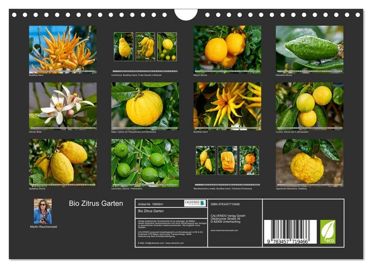 Produktbild: Bio Zitrus Garten (Wandkalender 2026 DIN A4 quer), CALVENDO Monatskalender