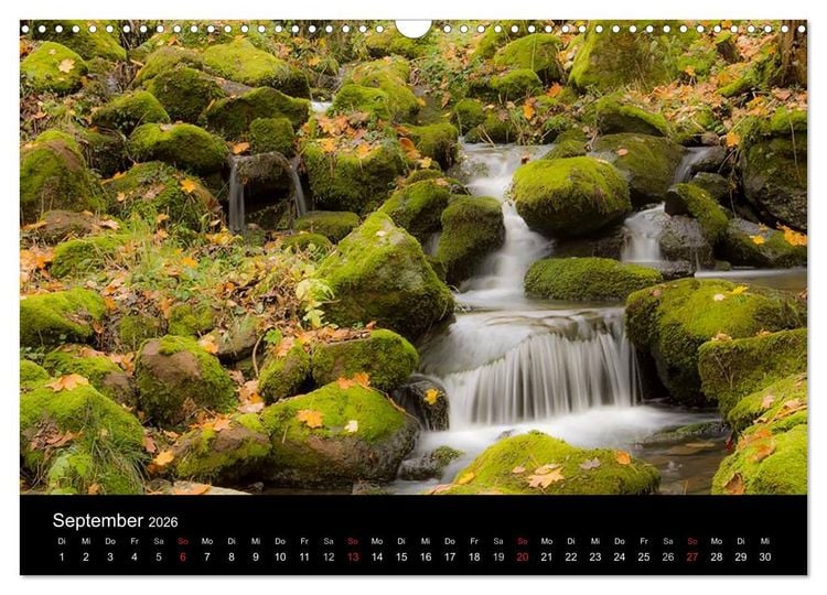 Produktbild: Meine Heimat Westerwald (Wandkalender 2026 DIN A3 quer), CALVENDO Monatskalender
